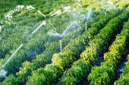 Water Irrigation 2 1