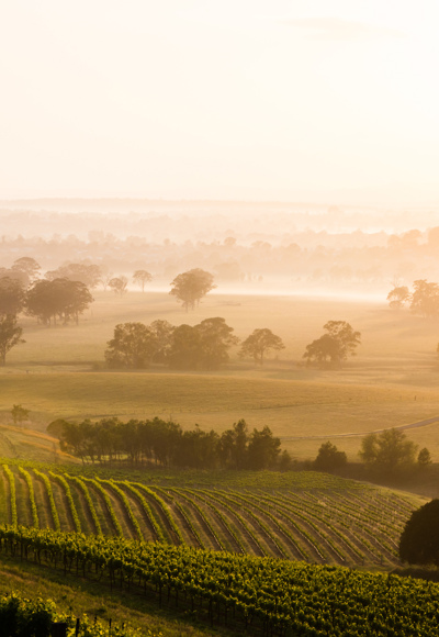 Hunter Valley Scenic Shot